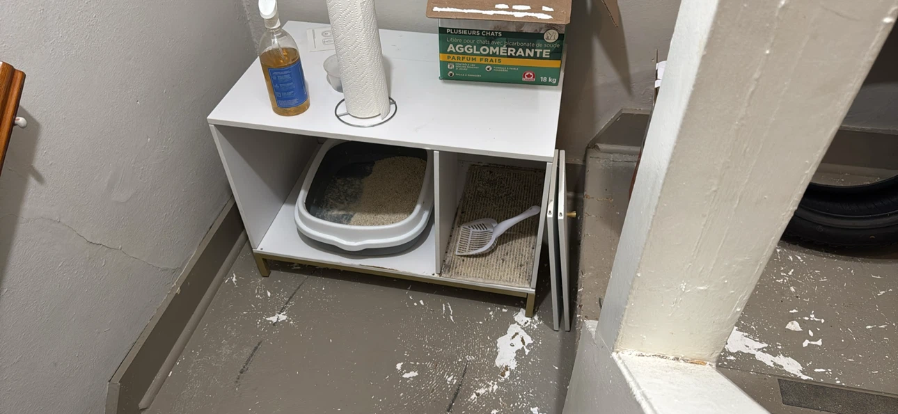 Cat Litter Box Enclosure Unit