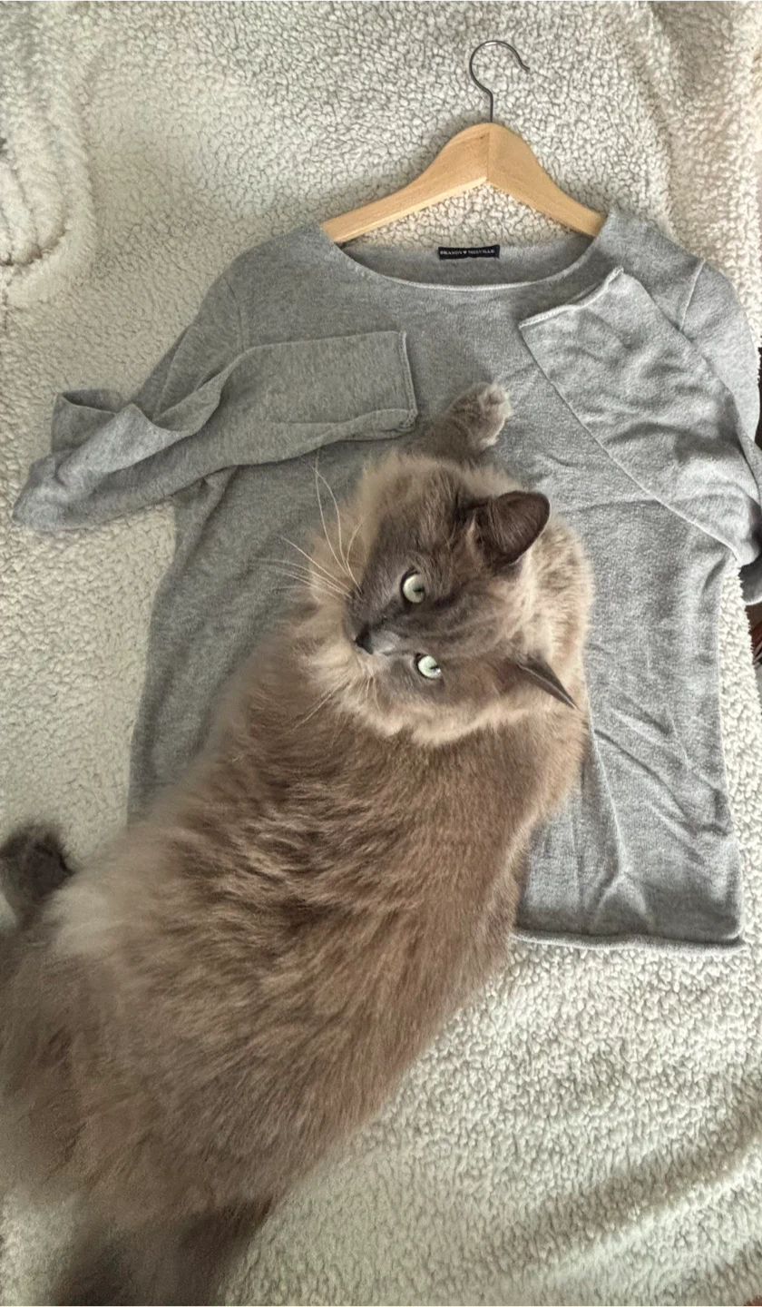 Brandy Melville Grey light knit Sweater