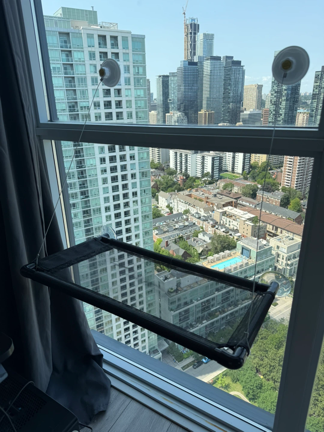 Cat Window Perch Hammock