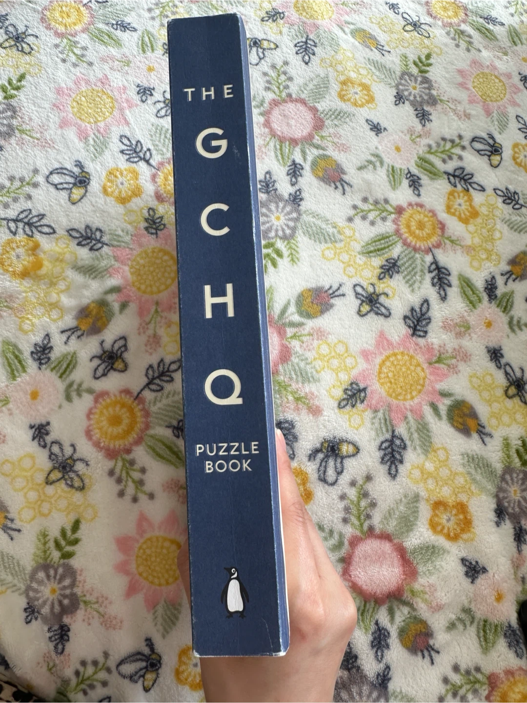The GCHQ Puzzle Book - photo 2