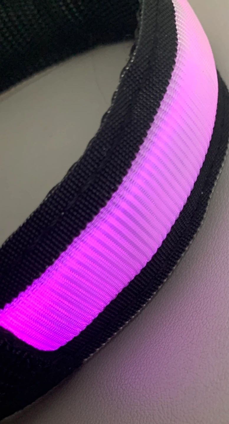 Nepfaivy LED Dog Collar - USB Rechargeable Flashing - photo 2