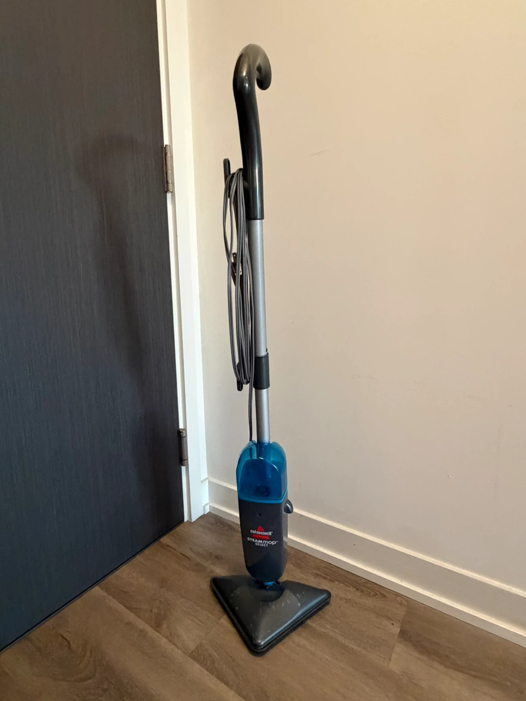 Bissell Steam Mop Select