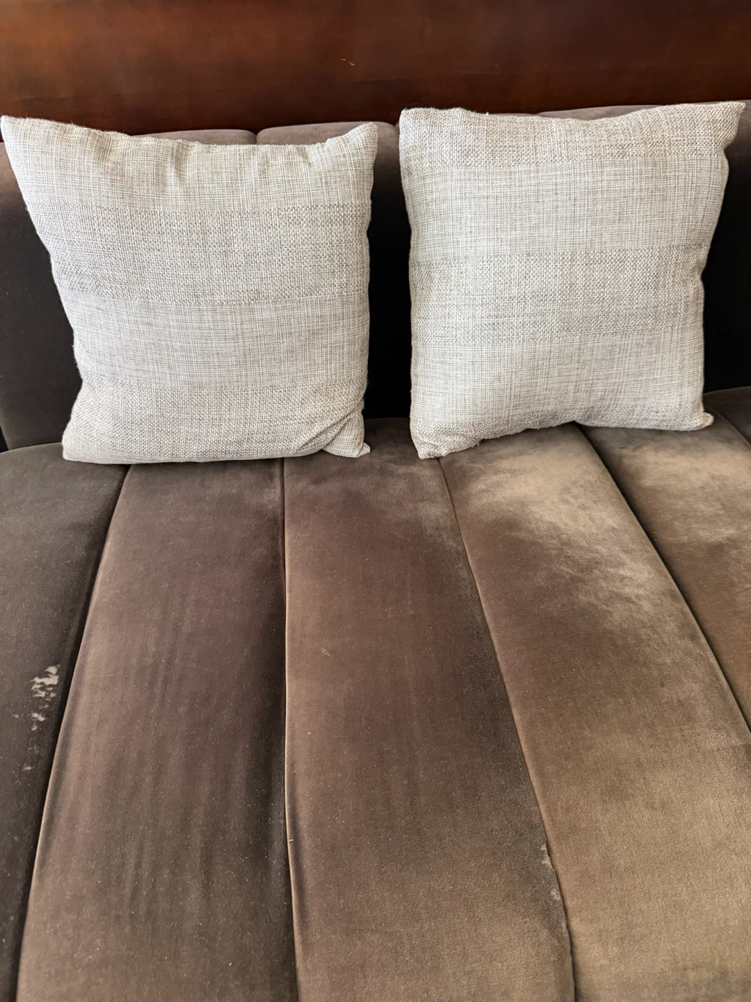 Decorative Throw Pillows - Set of 2