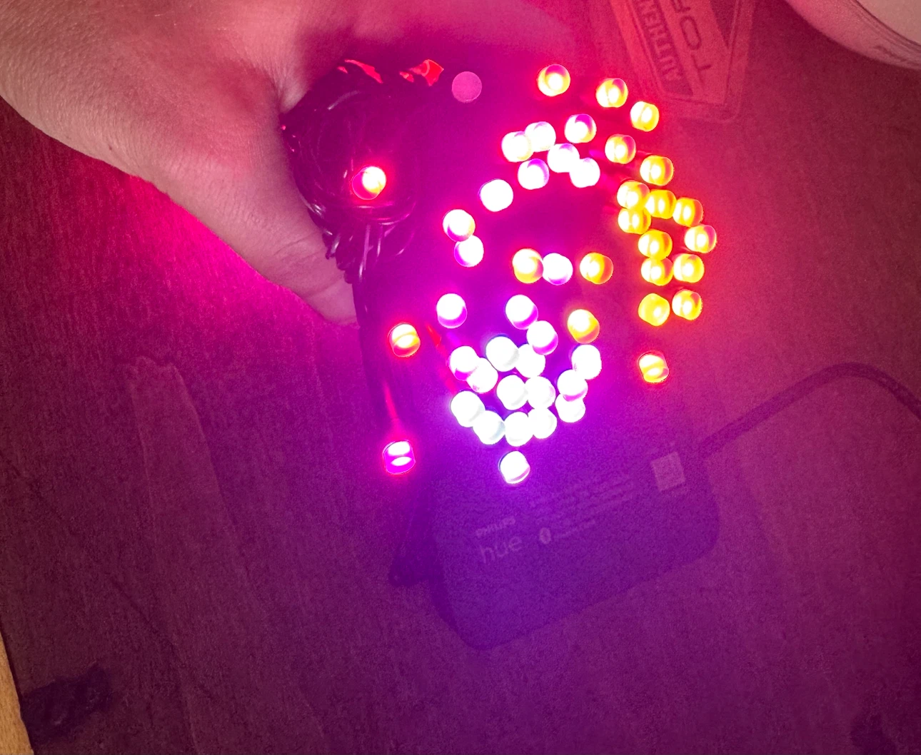 Brand new Philips Hue Festavia Smart String Lights