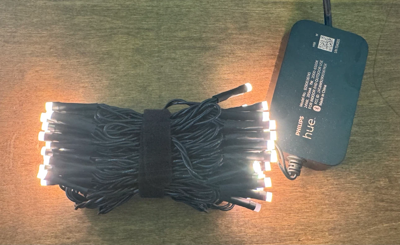 Brand new Philips Hue Festavia Smart String Lights - photo 2