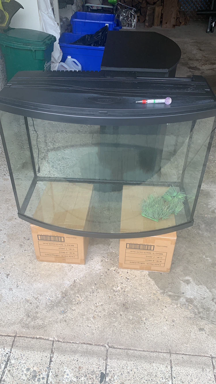Curved Aquarium Tank and Stand