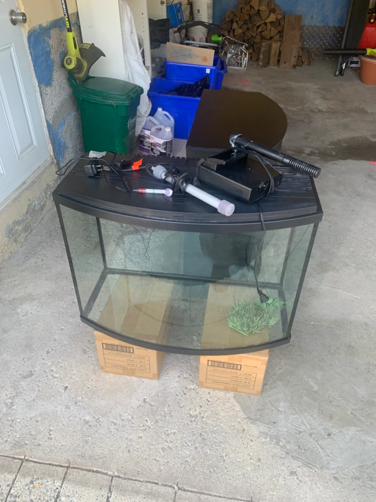 Curved Aquarium Tank and Stand - photo 4
