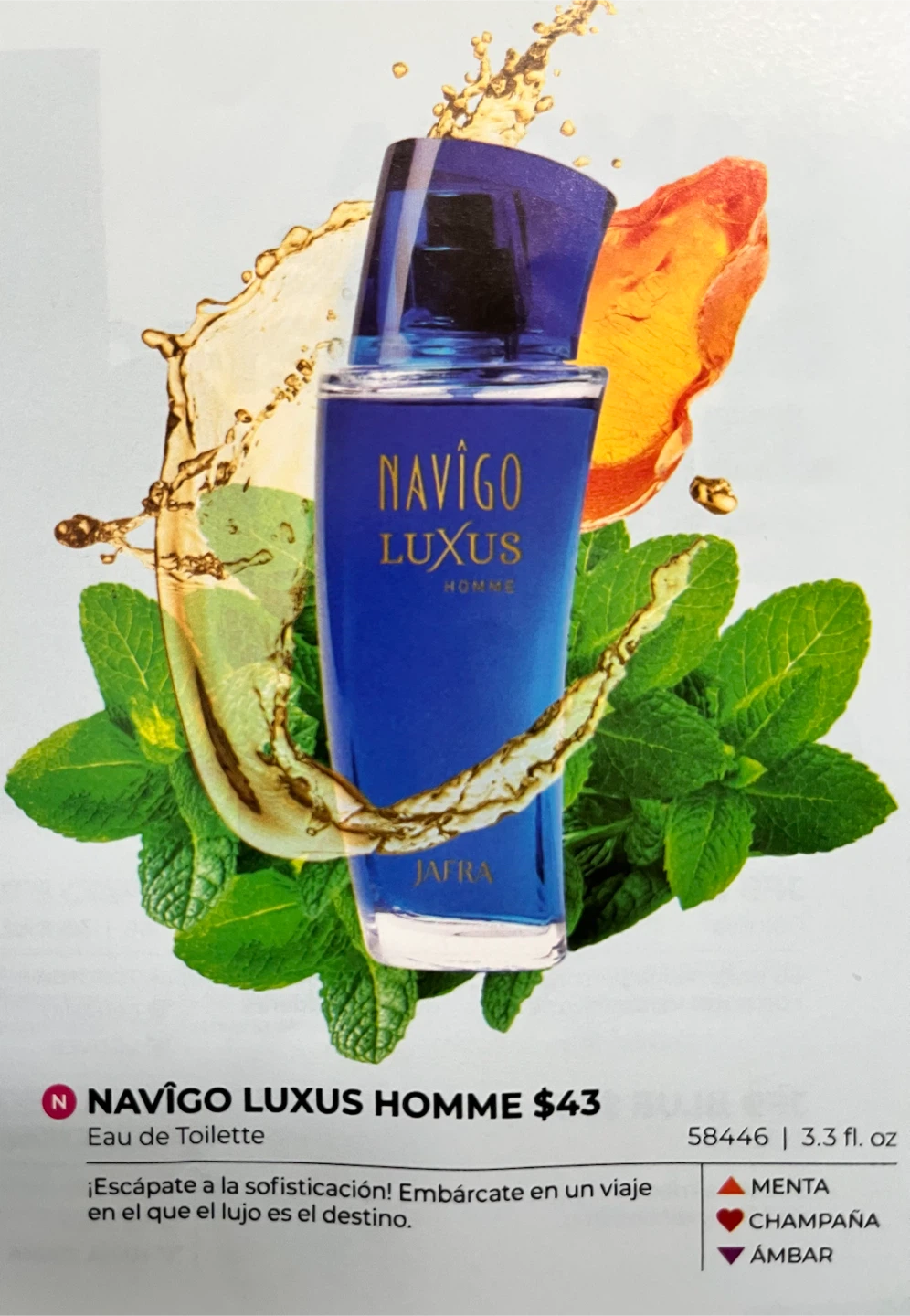 JAFRA Navigo Luxus Homme Eau de Toilette 100ml - photo 2