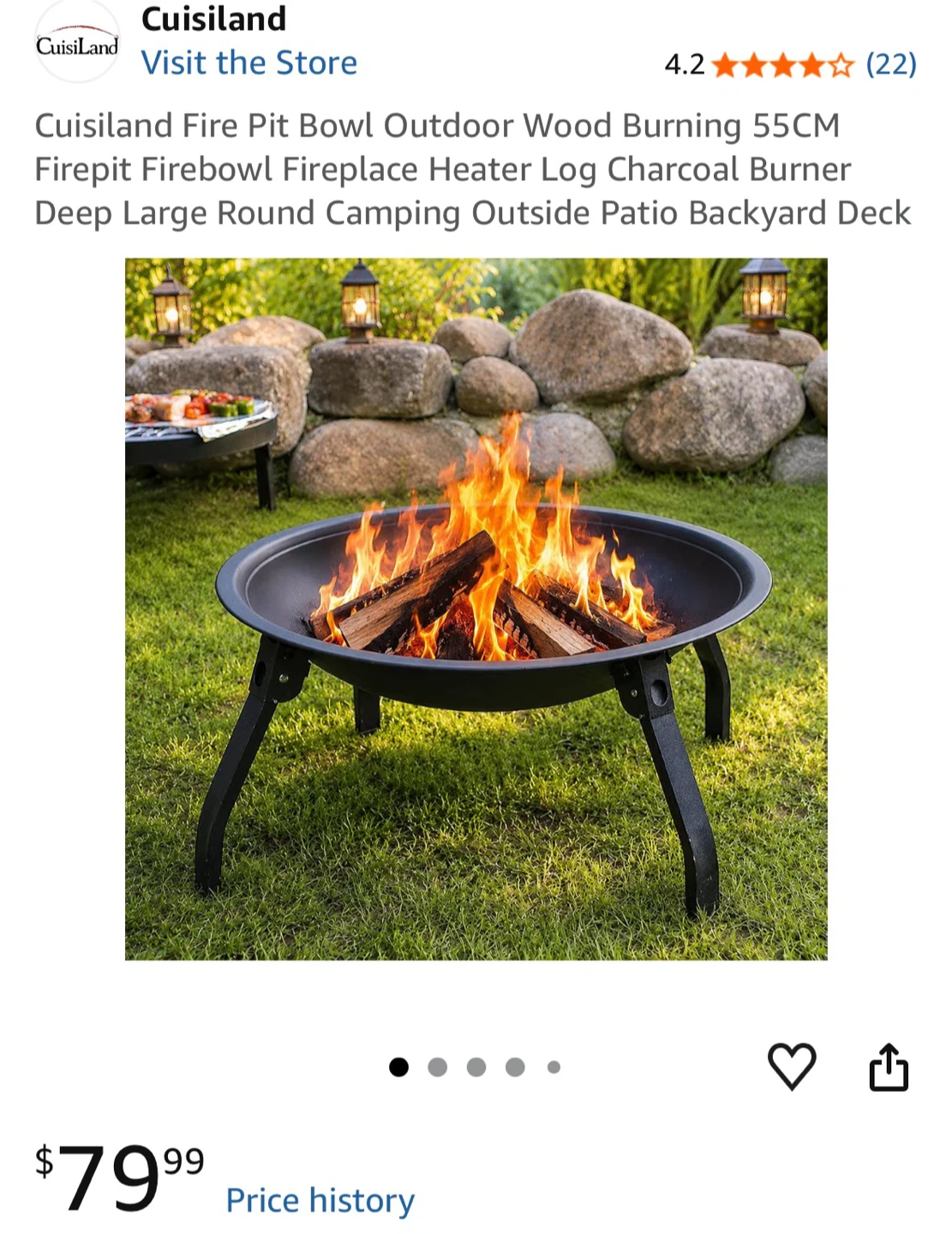 Small Outdoor Fire Pit - photo 5