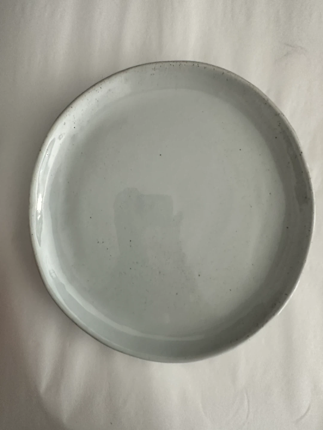 This is a salad Plate.  Crate & Barrel brand