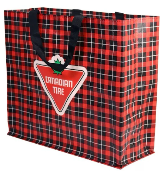 Canadian Tire Plaid Reusable Tote Hudson Williams Heated Rivalry - photo 2
