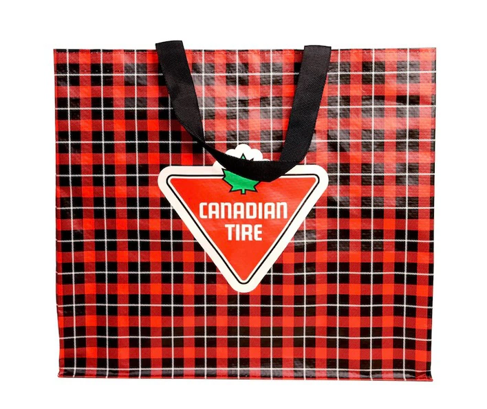 Canadian Tire Plaid Reusable Tote Hudson Williams Heated Rivalry - photo 4