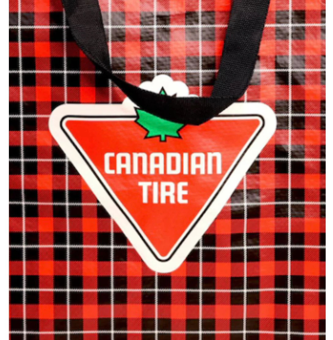 Canadian Tire Plaid Reusable Tote Hudson Williams Heated Rivalry - photo 5