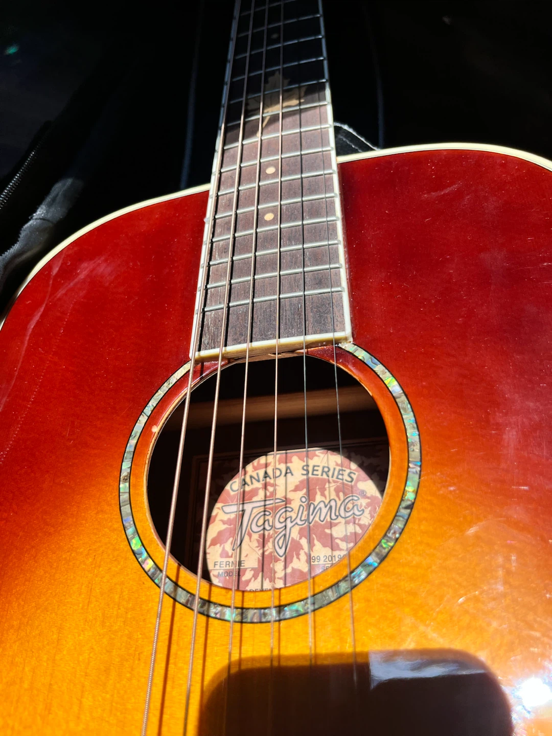 Tagima Canada Series "Fernie" Standard Acoustic Guitar 3/4 Size - photo 2