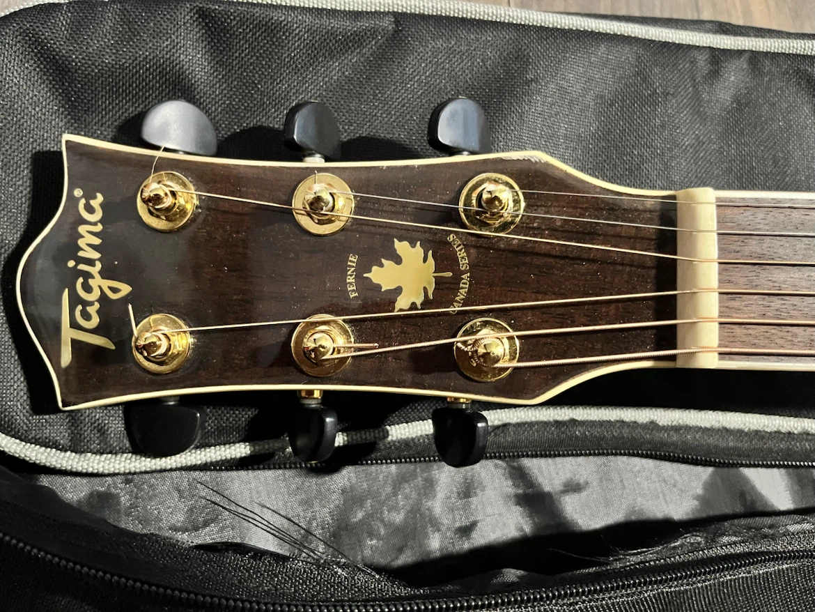 Tagima Canada Series "Fernie" Standard Acoustic Guitar 3/4 Size - photo 4