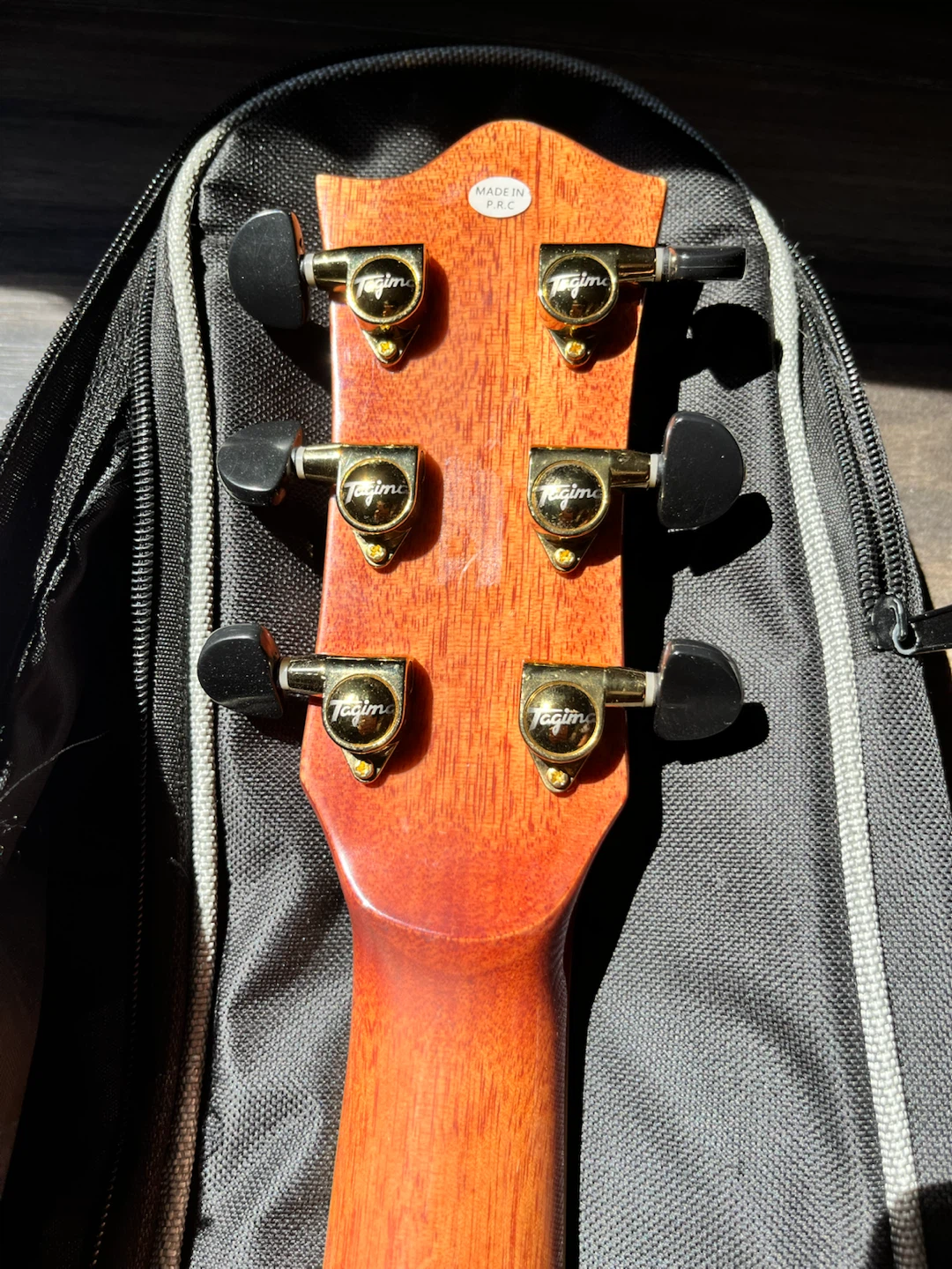 Tagima Canada Series "Fernie" Standard Acoustic Guitar 3/4 Size - photo 5