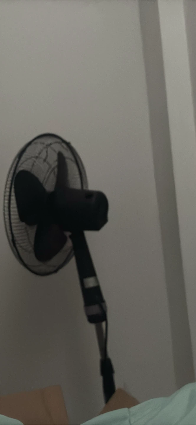 Black oscillating standing fan