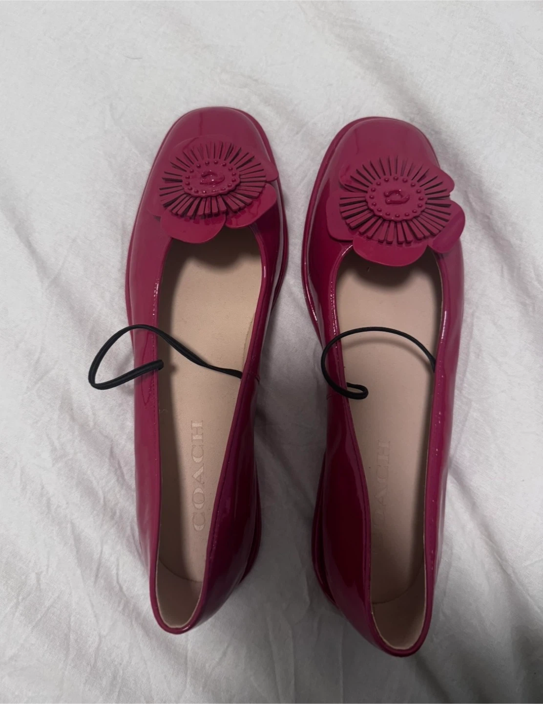 COACH Elaina Tea Rose Ballet Flats