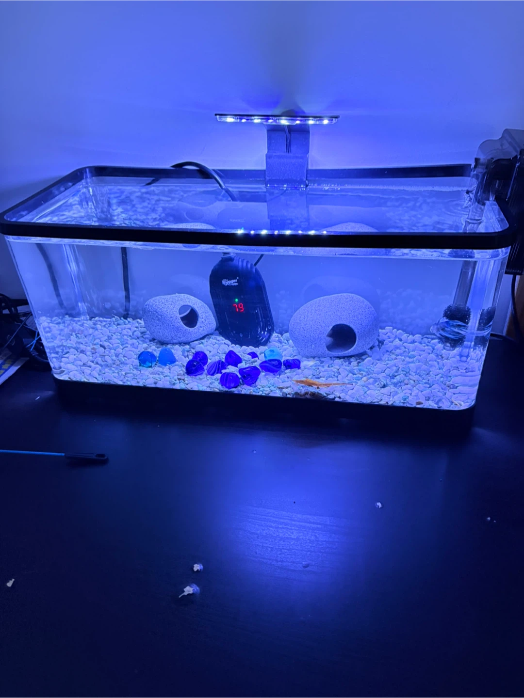 Aquarium Kit with All Accessories