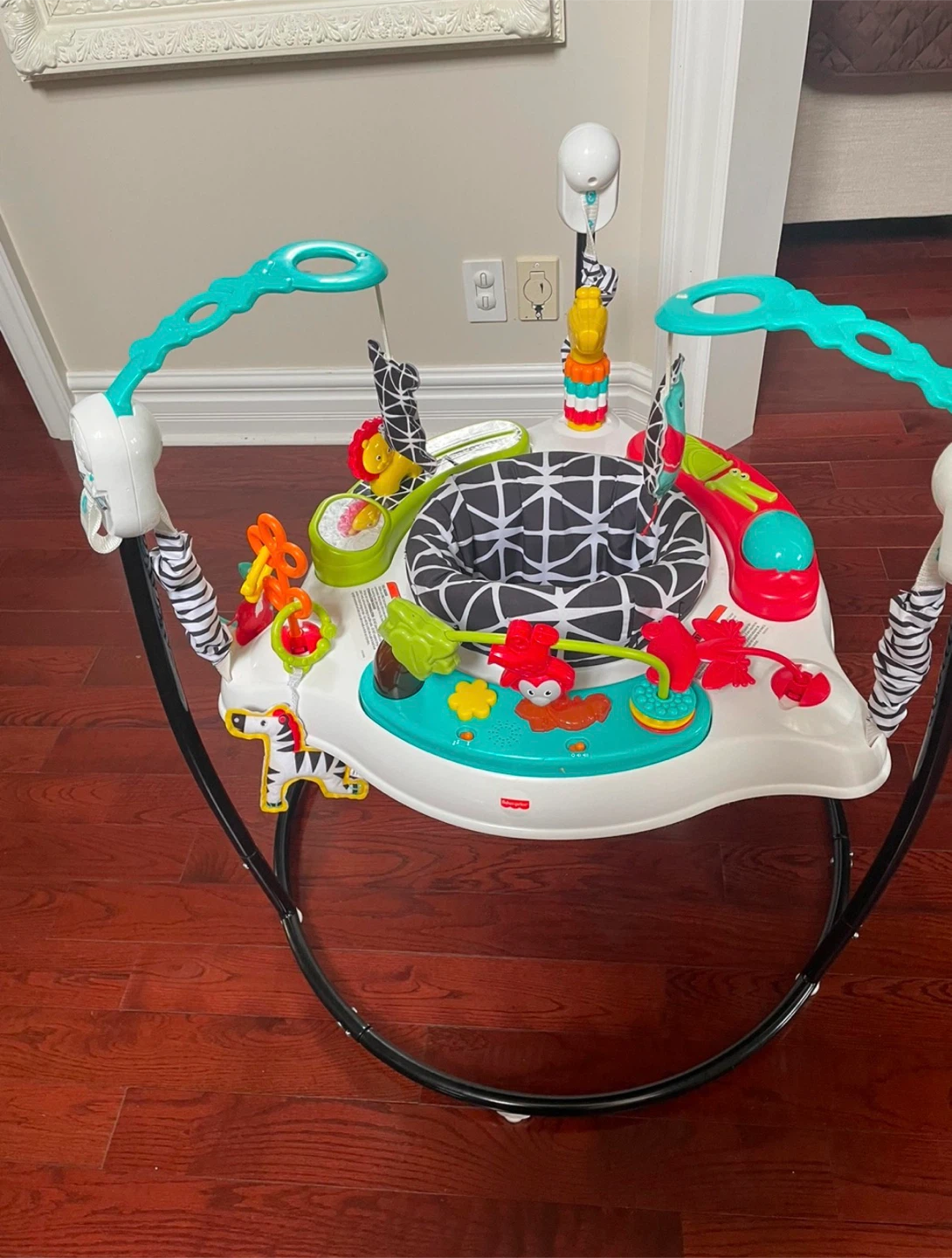 Fisher-Price Jumperoo - photo 3