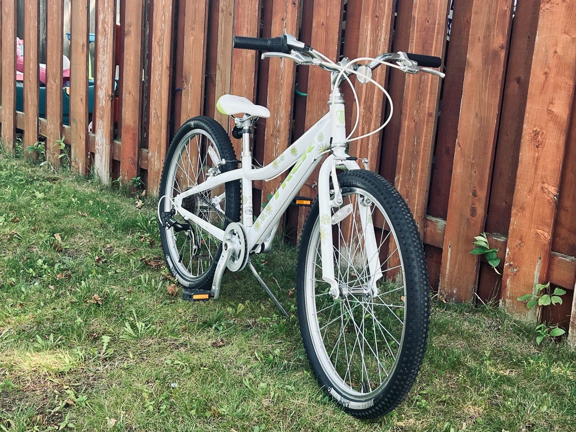 Trek MT 200 24” Youth Mountain Bike Great Condition - photo 3