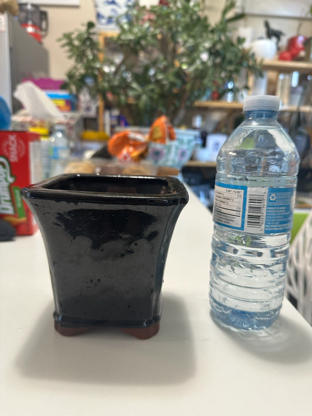 Black Ceramic Square Plant Pot