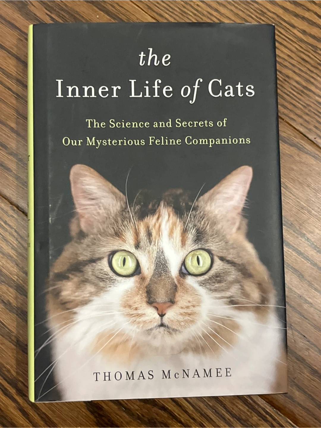 The Inner Life of Cats