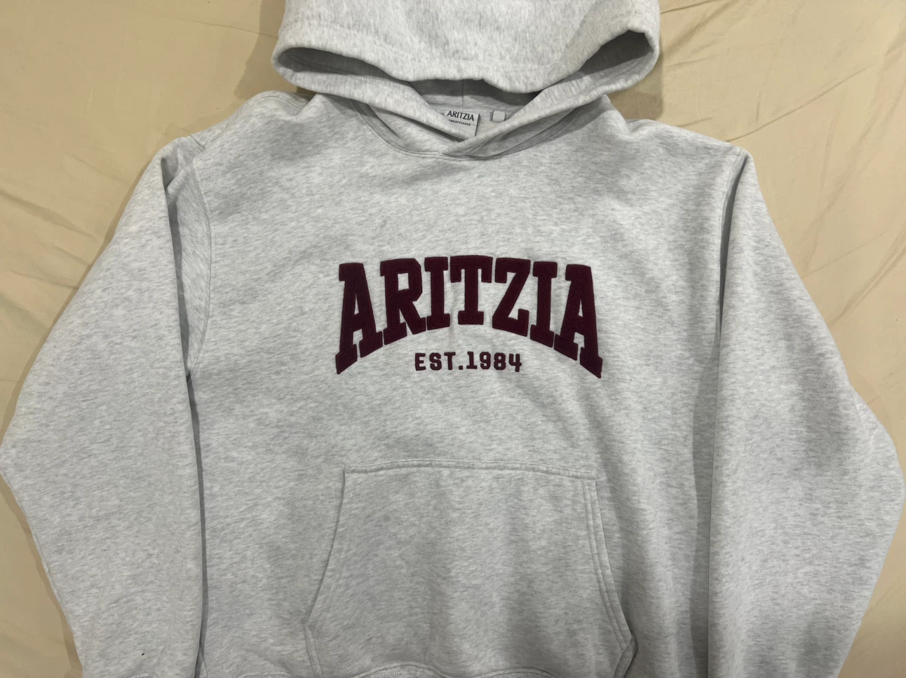 ARITZIA Sweatfleece Hoodie