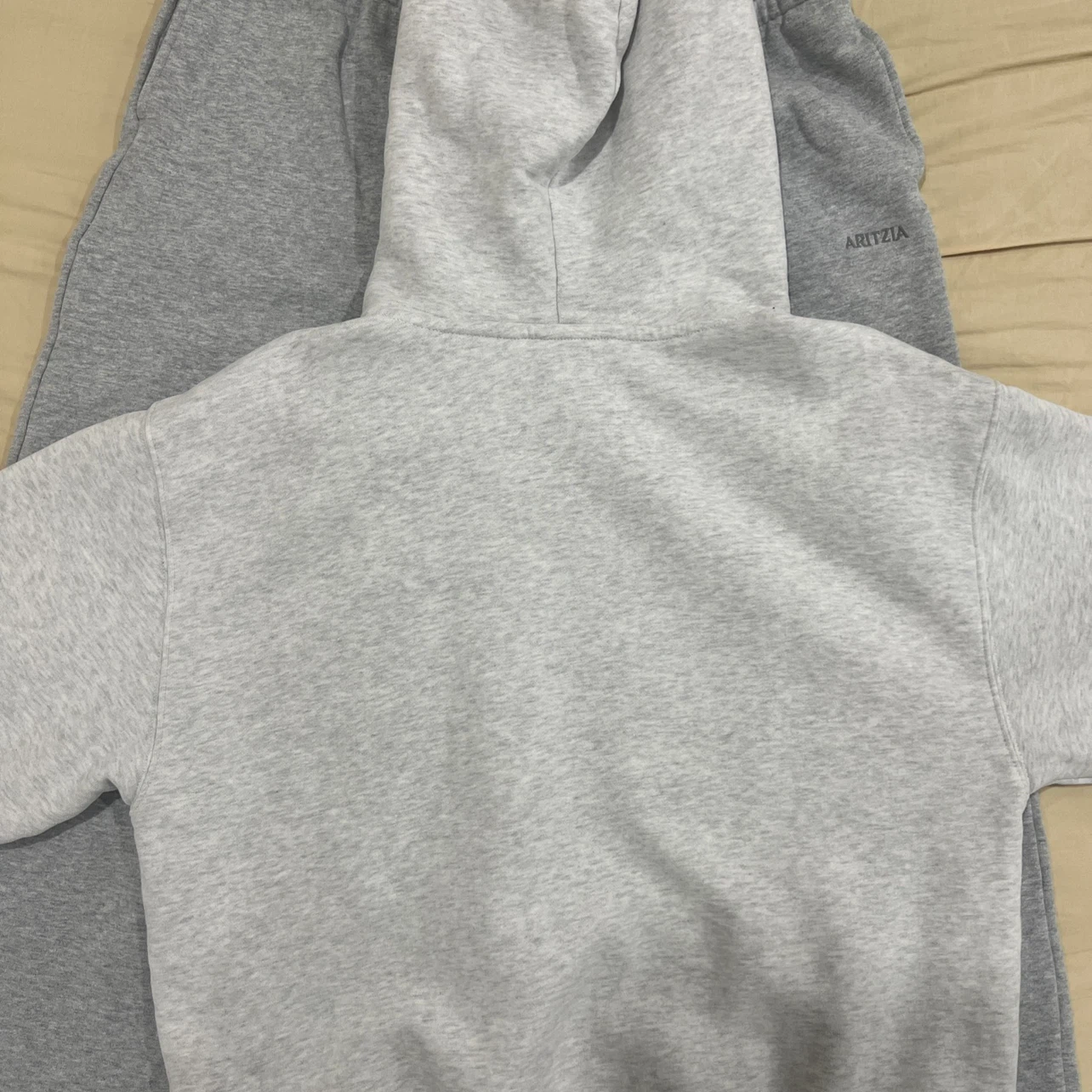 ARITZIA Sweatfleece Hoodie - photo 3