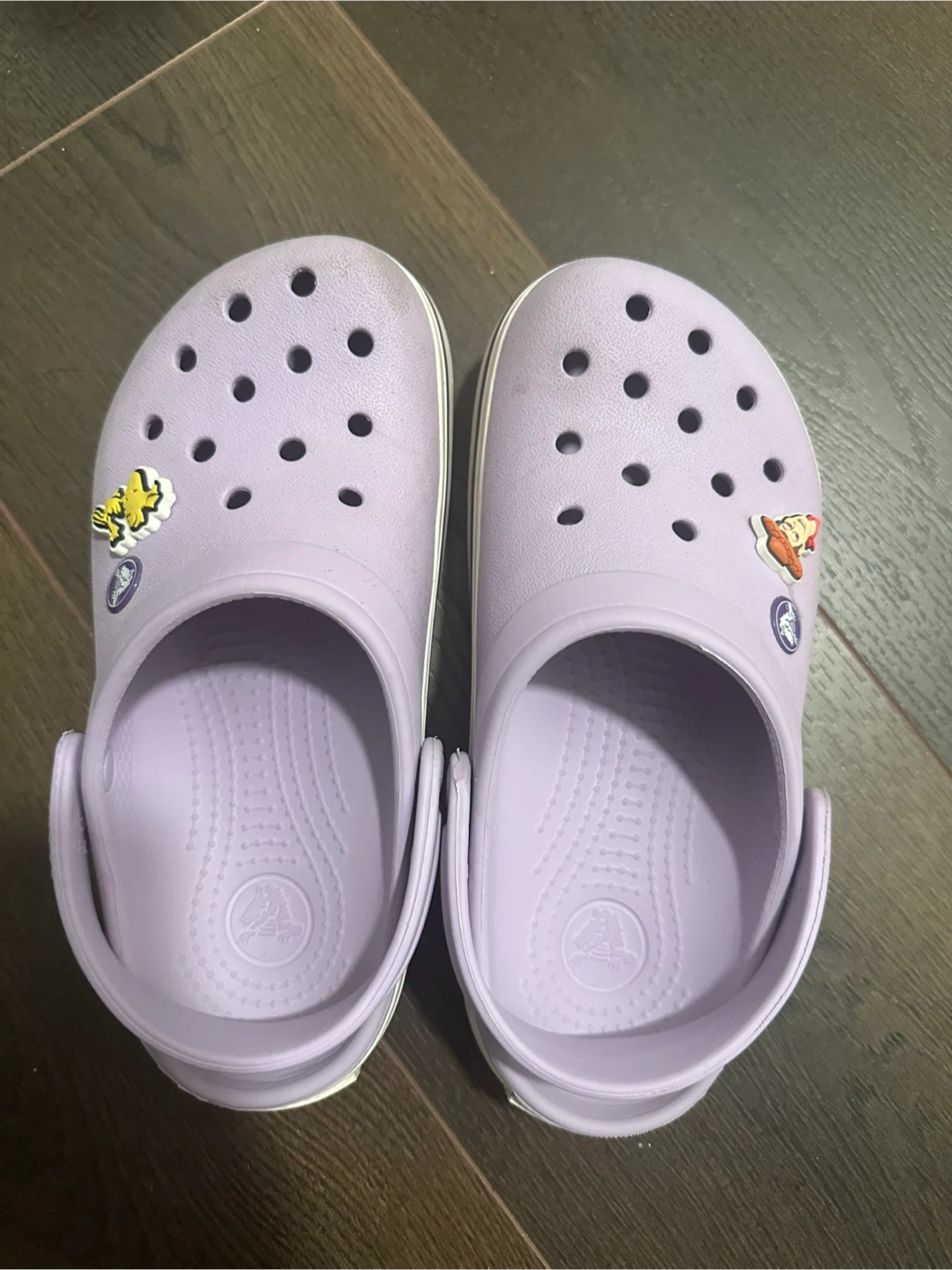Crocs Kids Clog Shoes - Lavender J-4