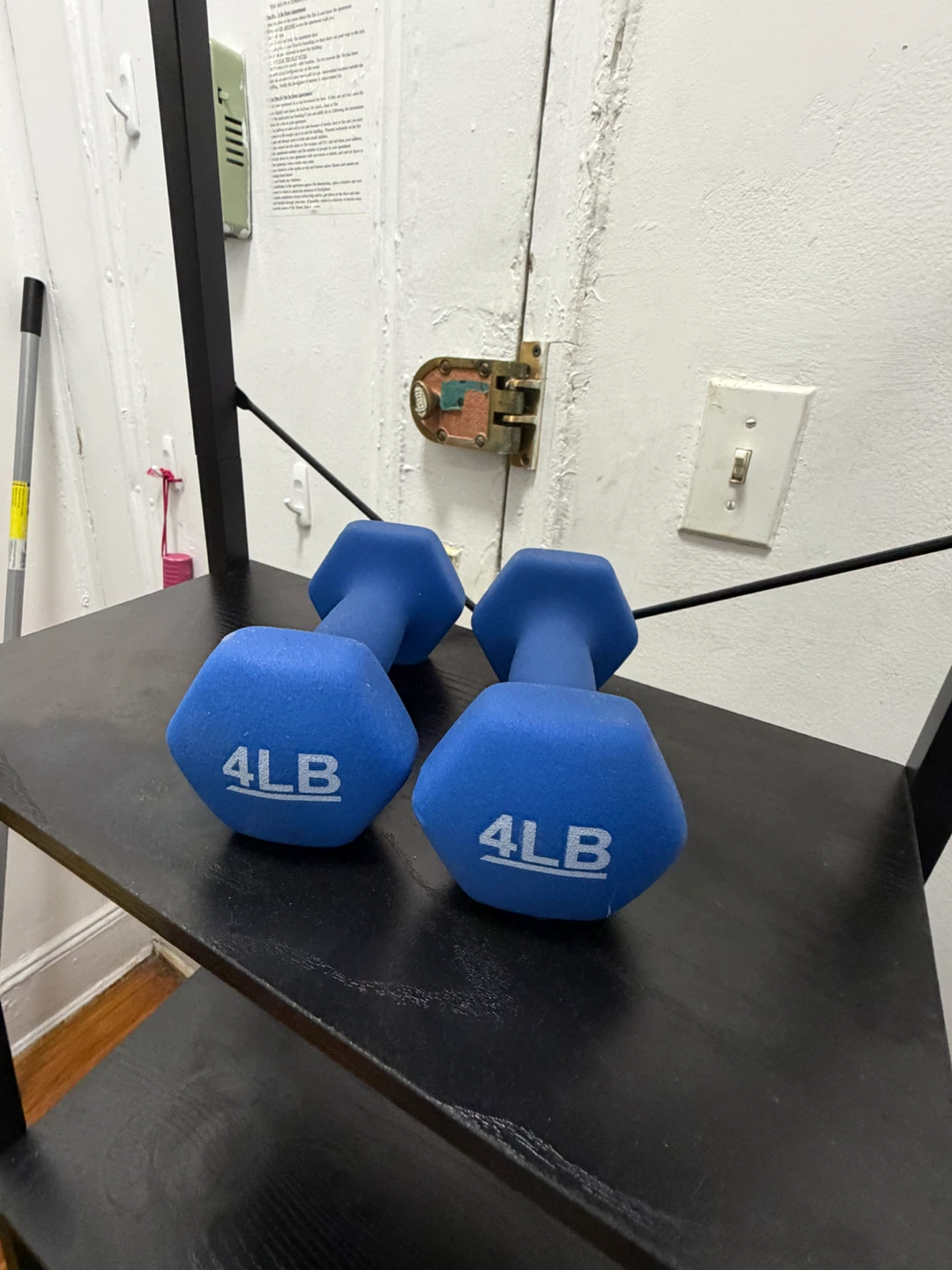 Pair of Blue 4LB Dumbbells