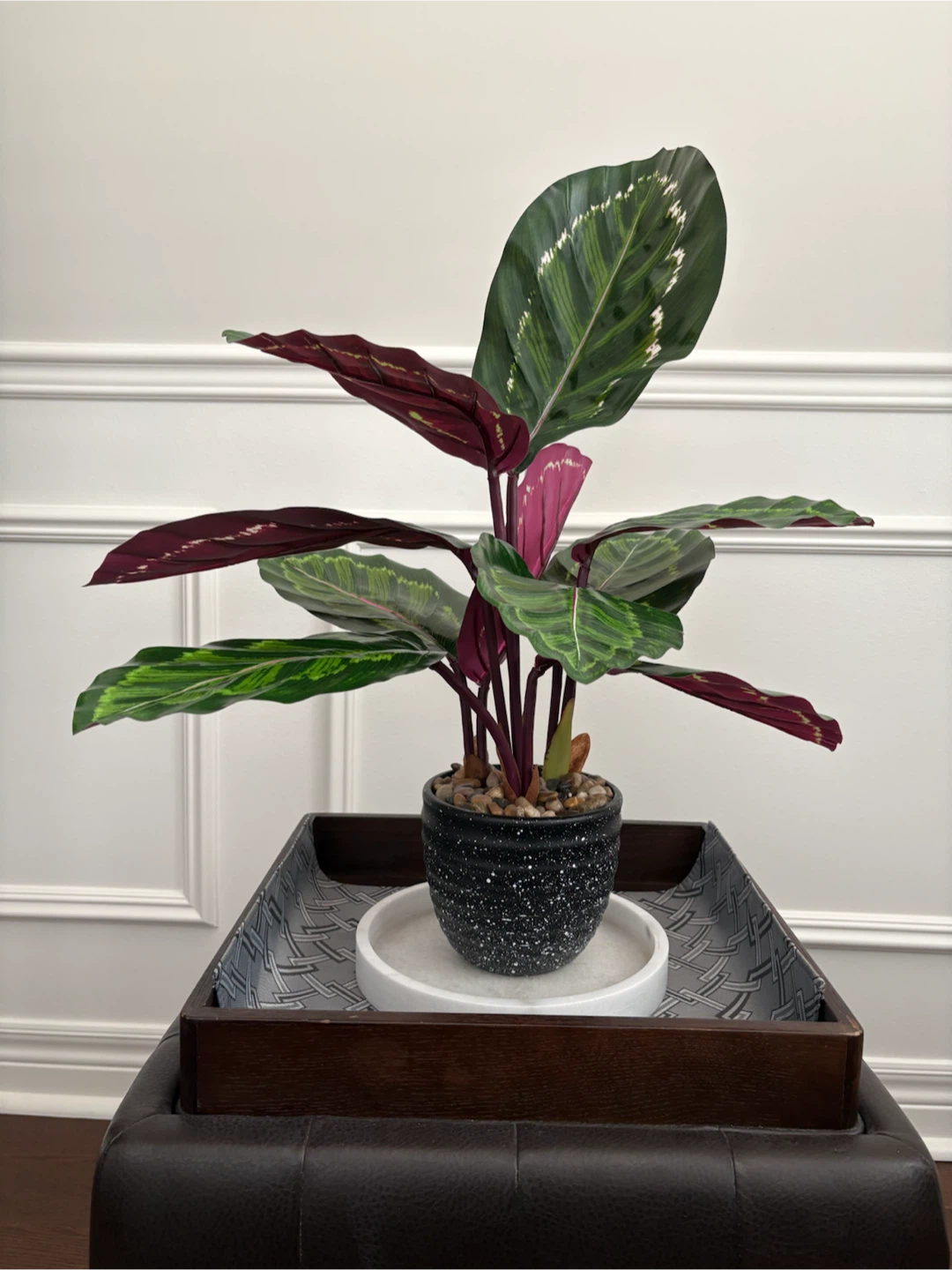 Artificial Calathea Plant in Pot