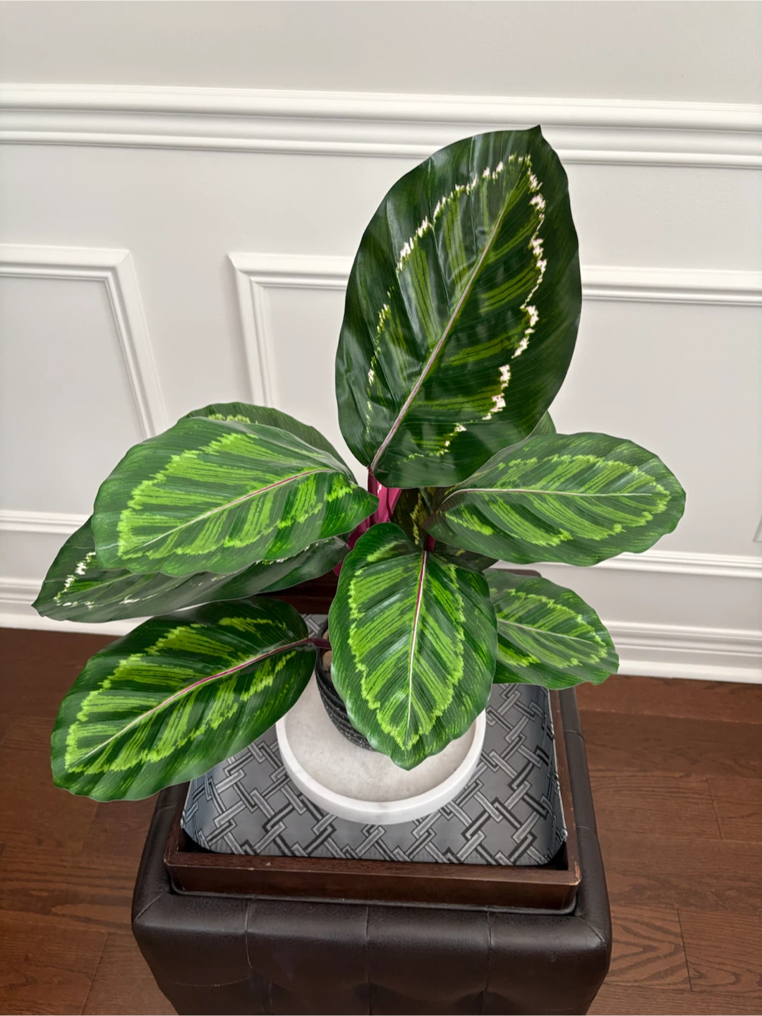 Artificial Calathea Plant in Pot - photo 2