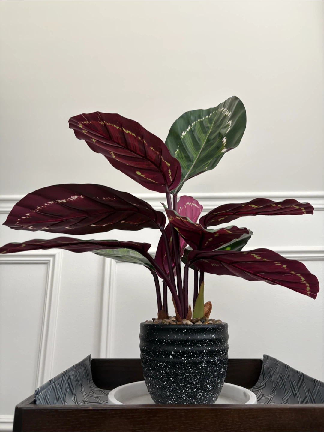 Artificial Calathea Plant in Pot - photo 3