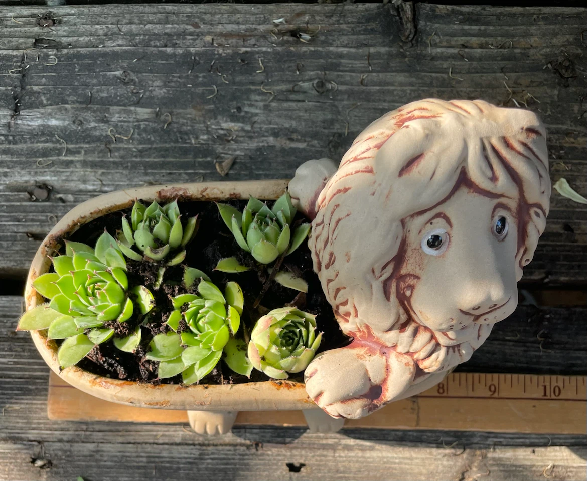 Lion Planter Pot with plants - photo 2