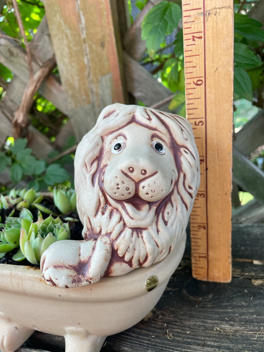 Lion Planter Pot with plants - photo 3