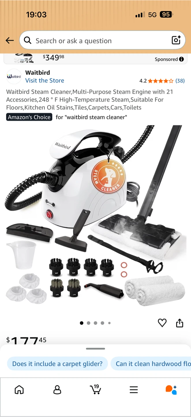 Waitbird Multi-Purpose Steam Cleaner with 21 Accessories