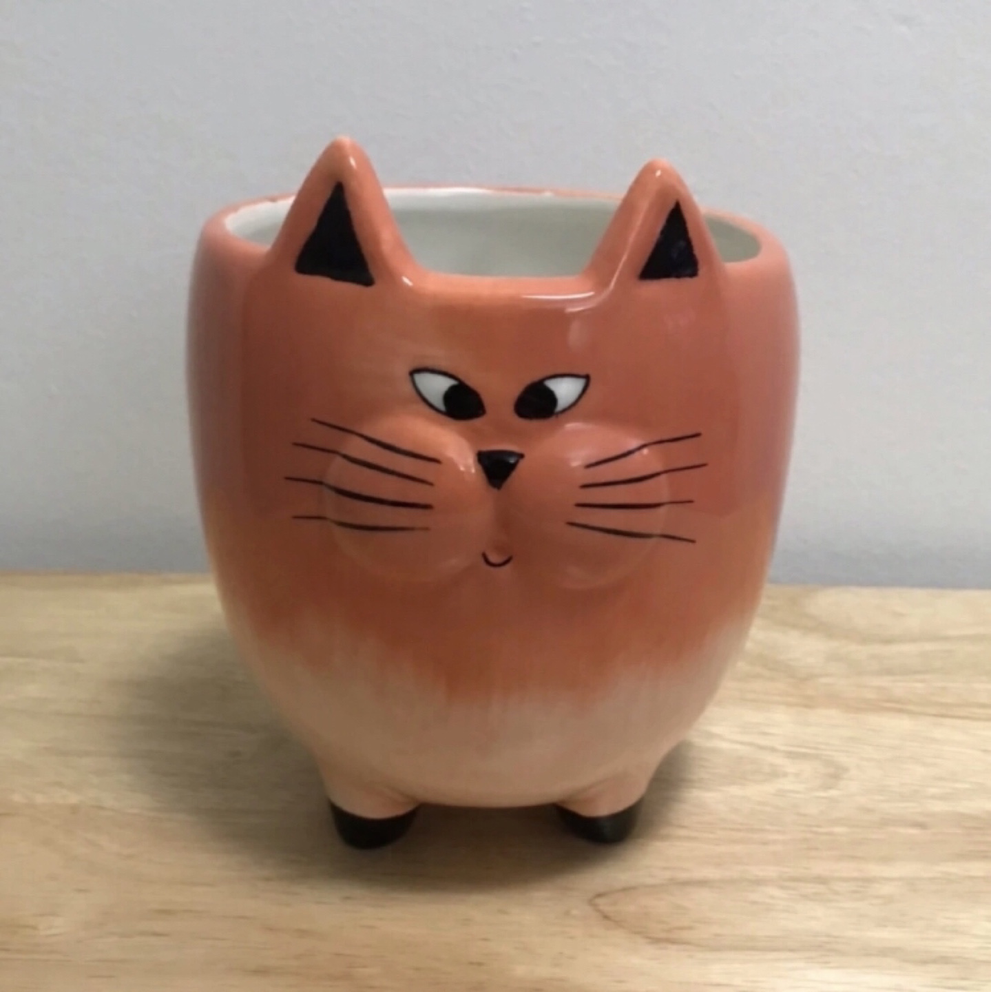 Cat shaped plant holder