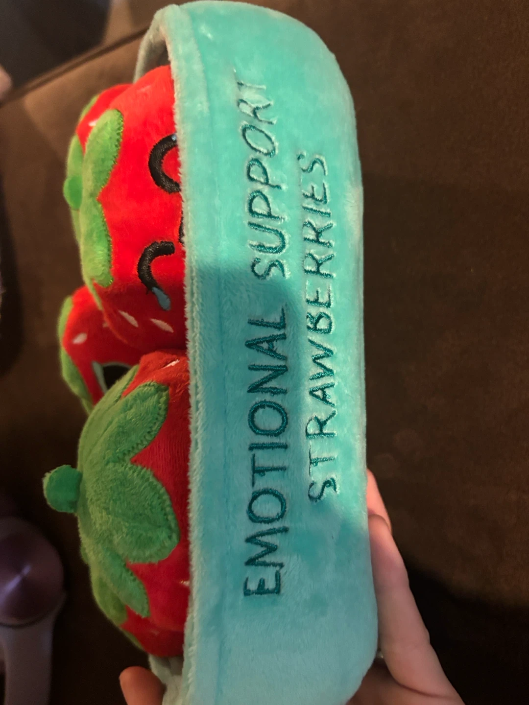 Emotional Support Strawberries Plush Toy