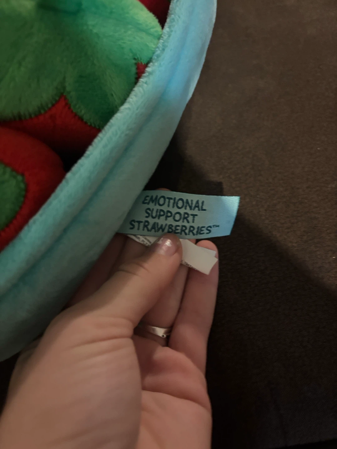 Emotional Support Strawberries Plush Toy - photo 3