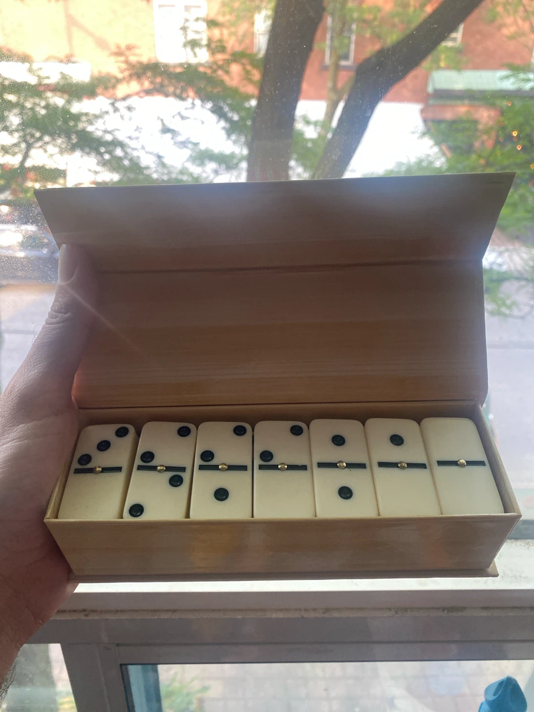 Dominoes Set with Wooden Box