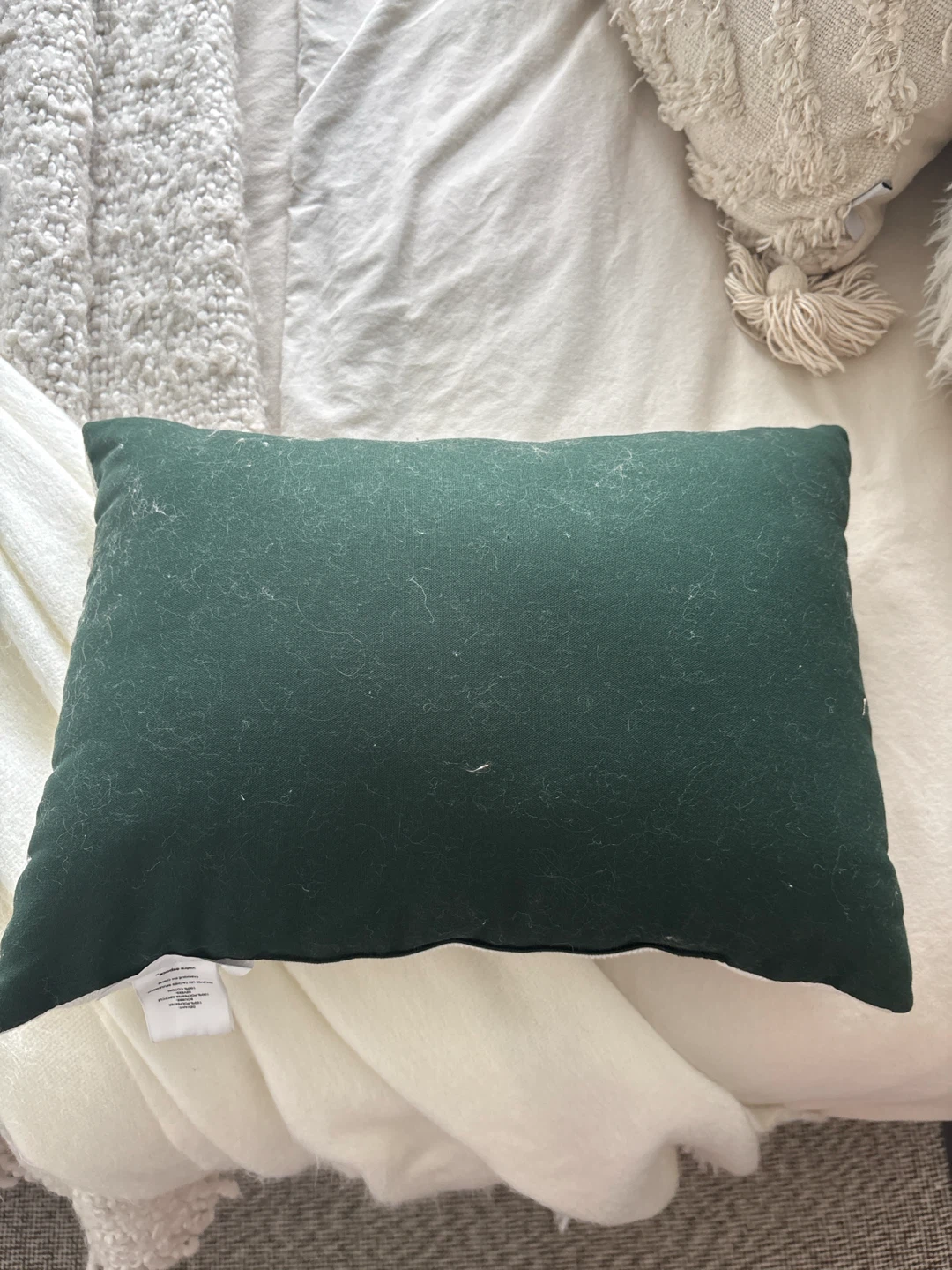 Homebody Throw Pillow - photo 2