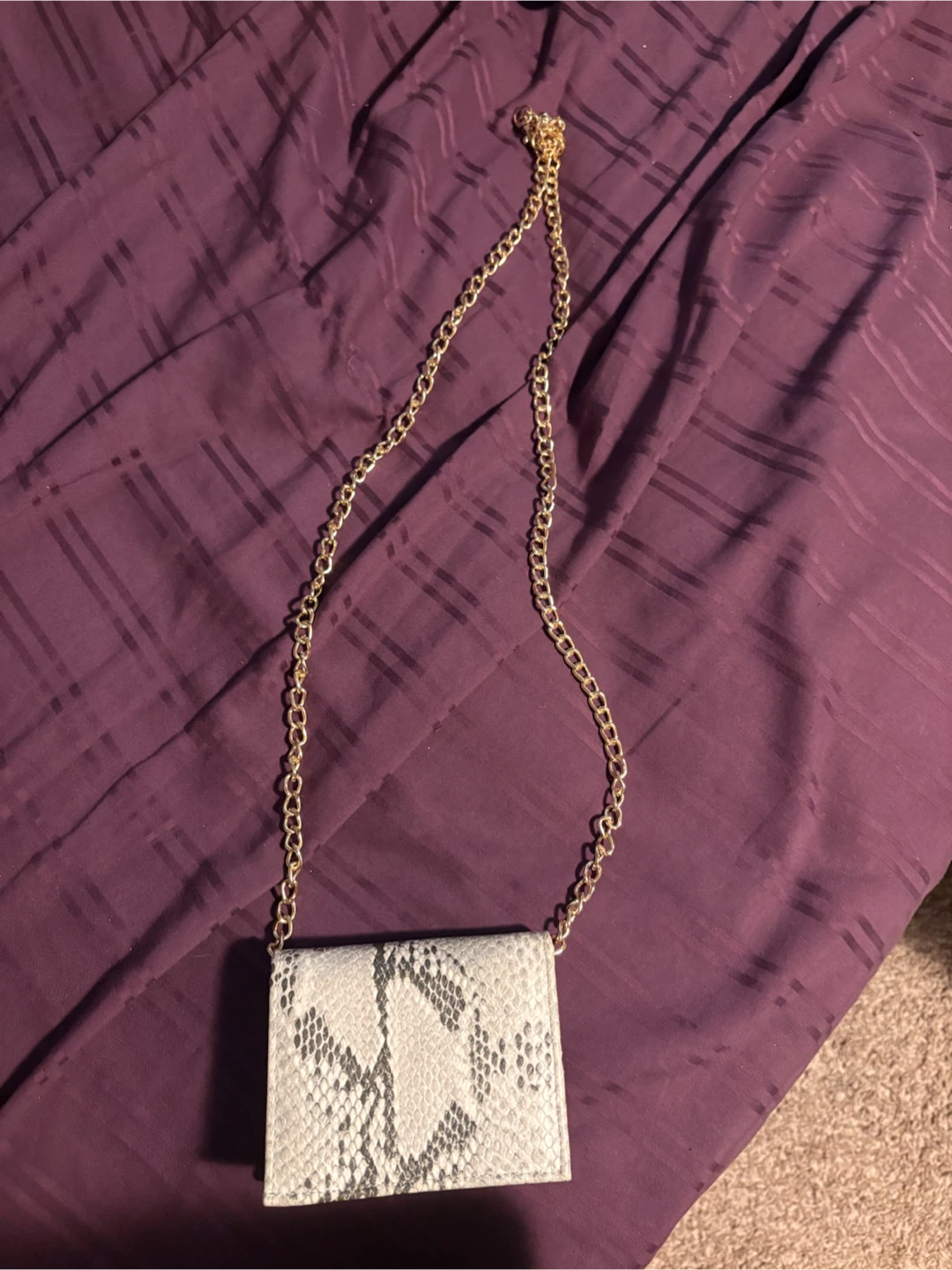 Snake Print Clutch with Gold Chain Strap