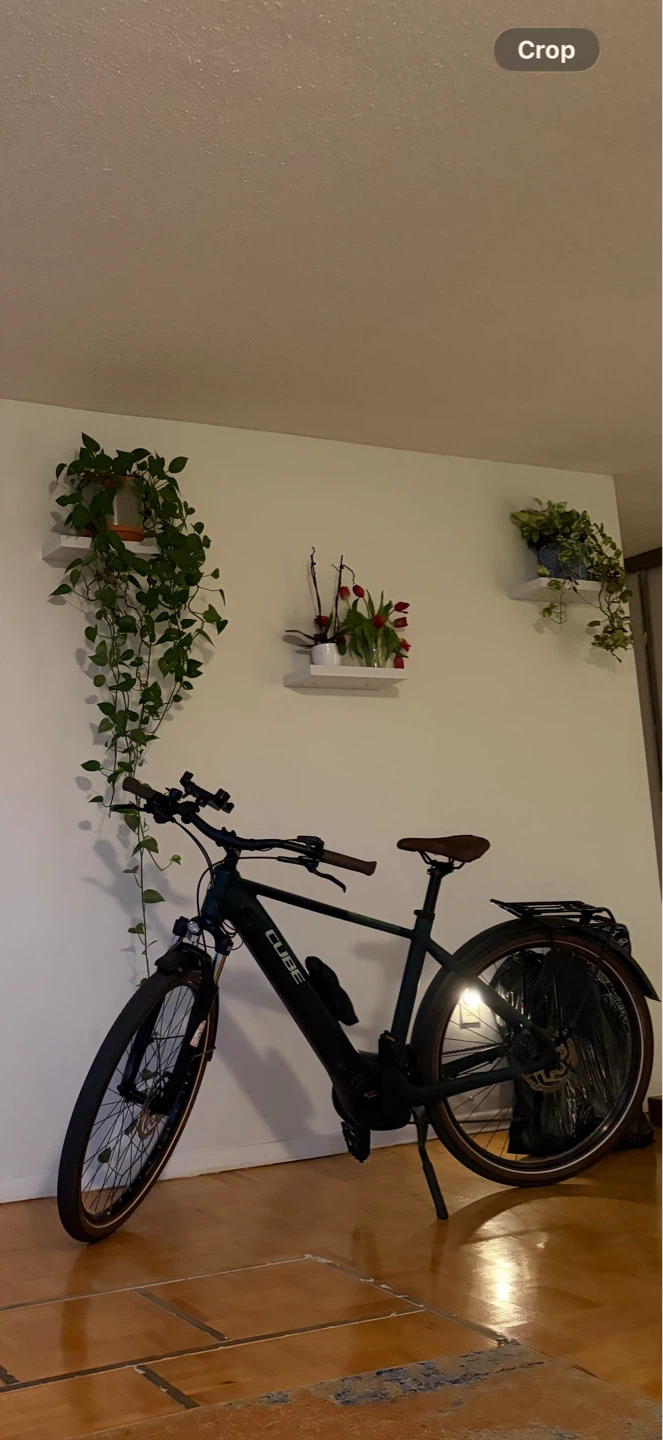Bosch Motor - O.ONE Touring E-Bike - size 54