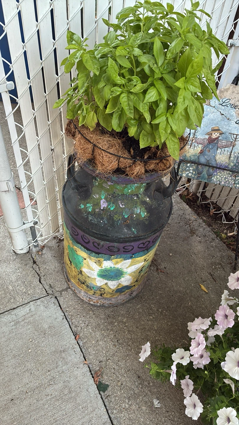 Milk can vintage