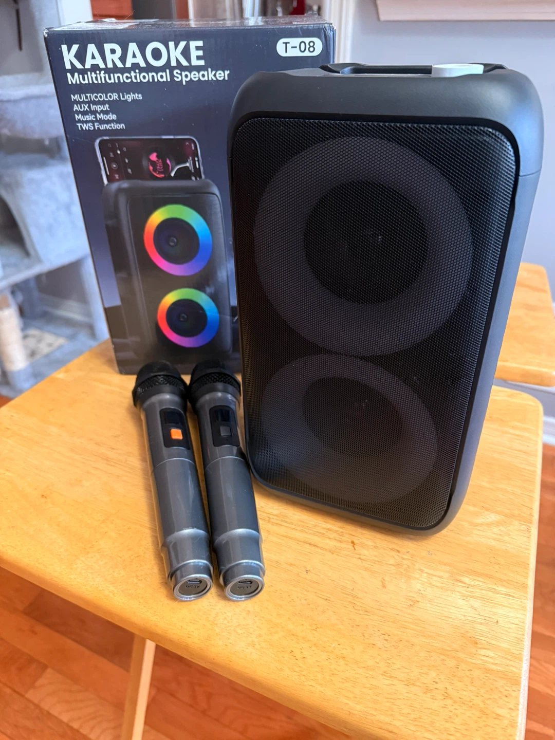 Karaoke Multifunctional Speaker with 2 Microphones