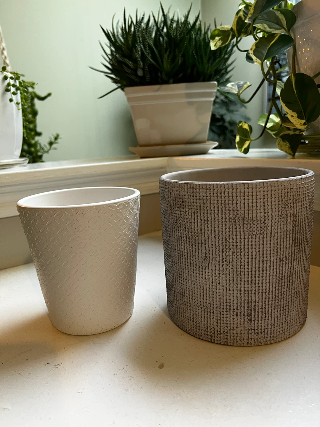 2 Ceramic Planters