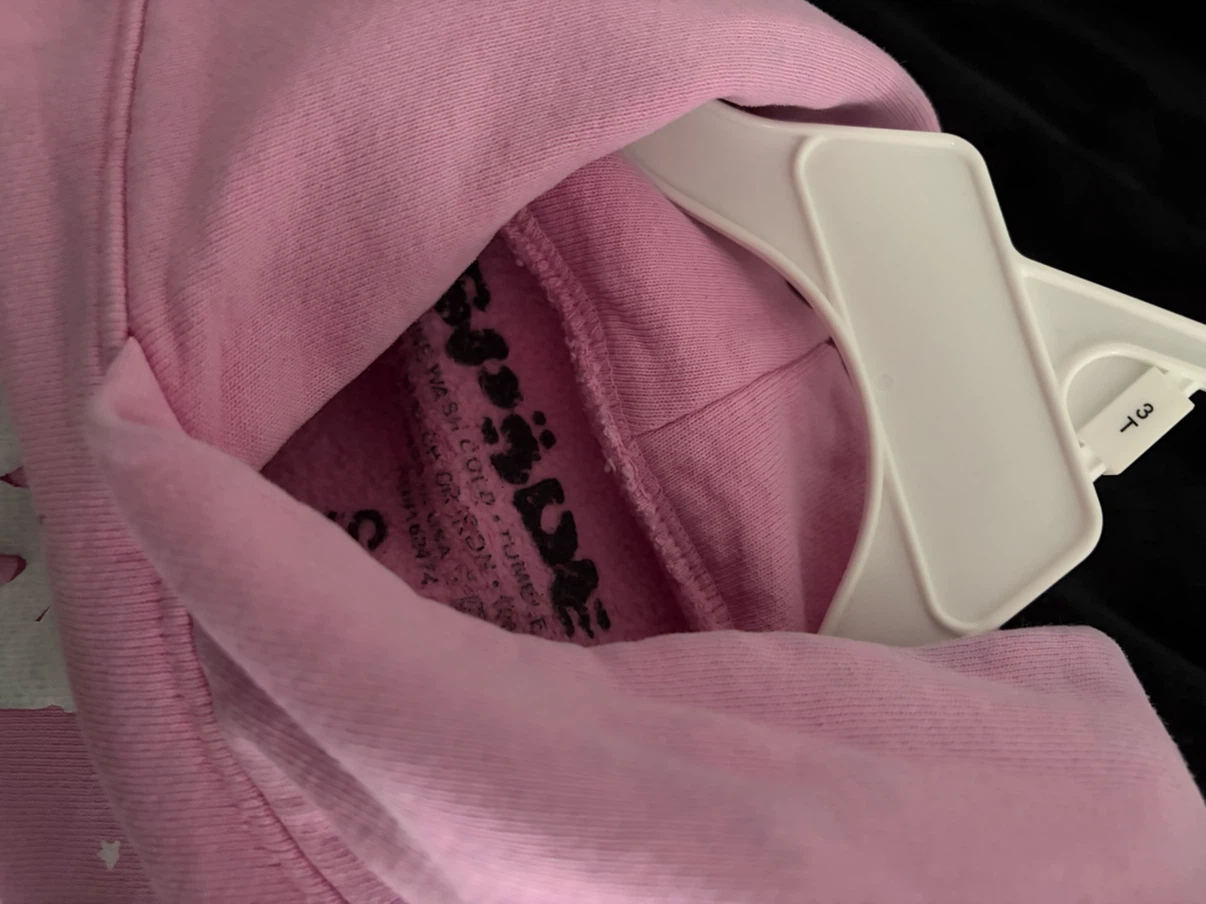 Sp5der Pink Spiderweb Hoodie - photo 2