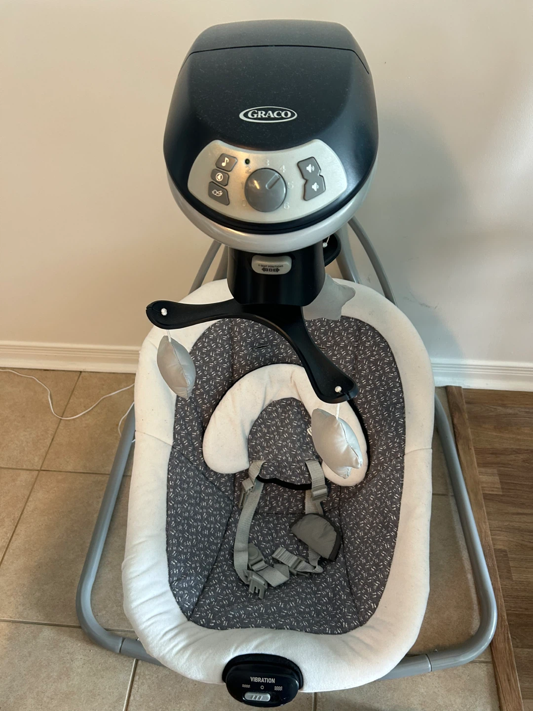 Graco Baby Swing