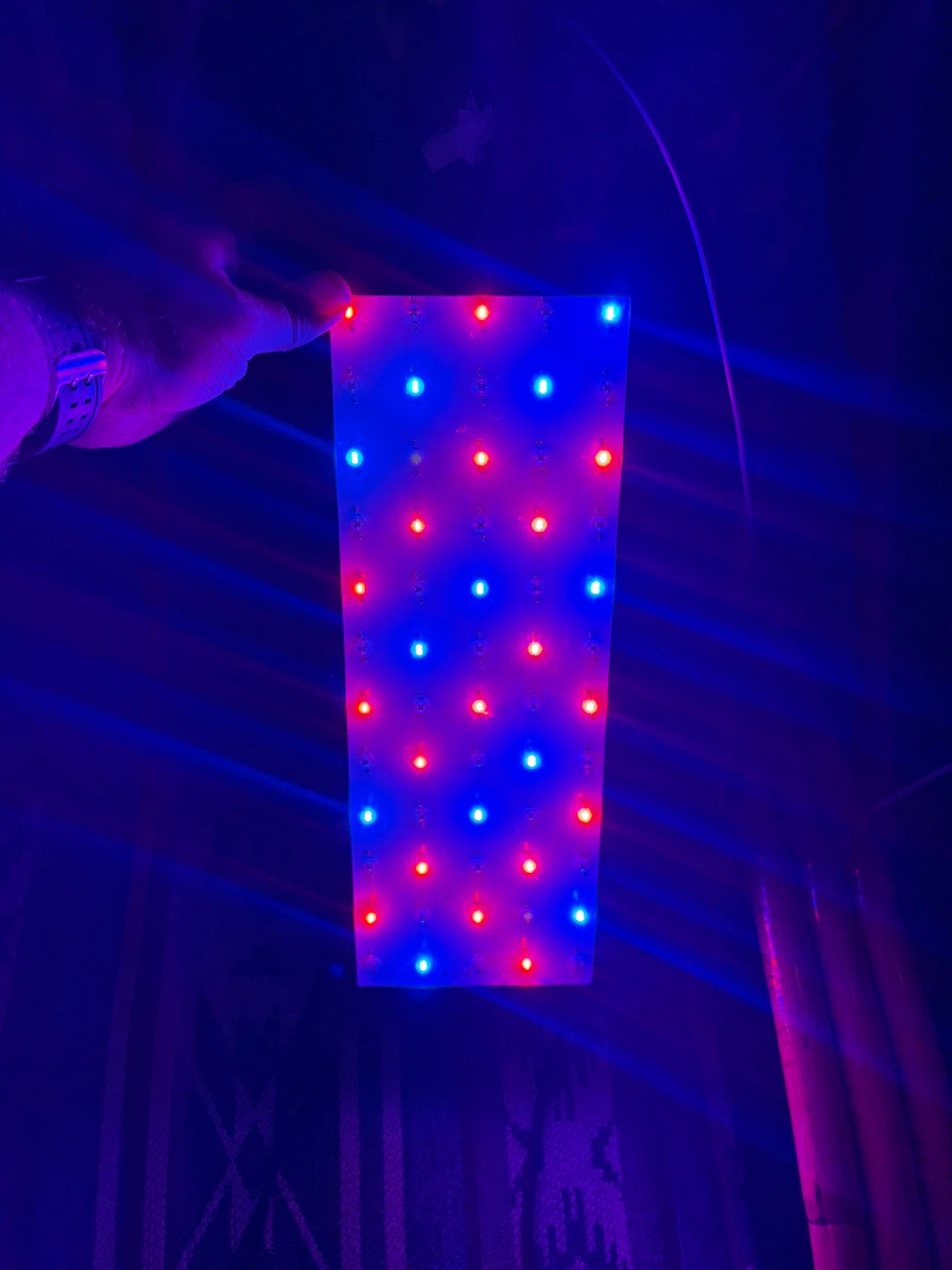 Phlizon 600w Grow Light - photo 4